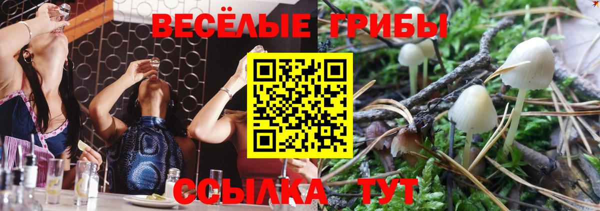 магазин продажи наркотиков  Вход с VPN  Балтийск  Галлюциногенные грибы Magic Shrooms 