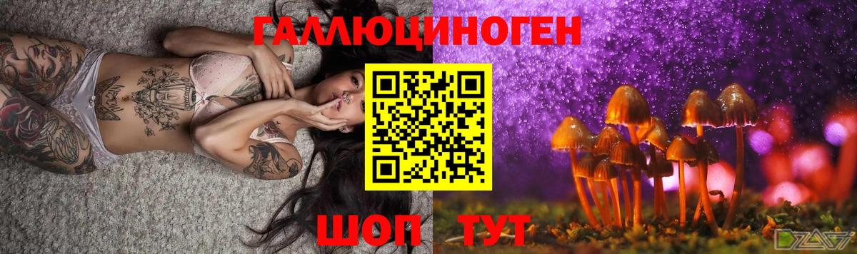 Псилоцибиновые грибы мухоморы Балтийск